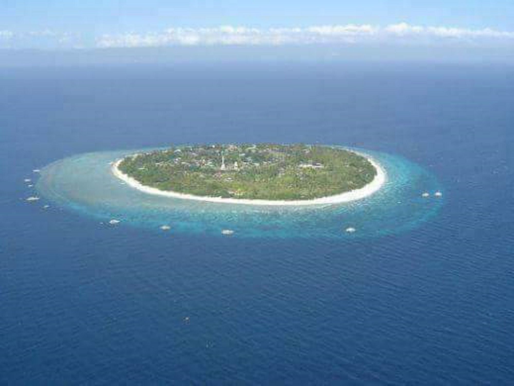 Traville Huts Palm Beach Inn Panglao Dış mekan fotoğraf