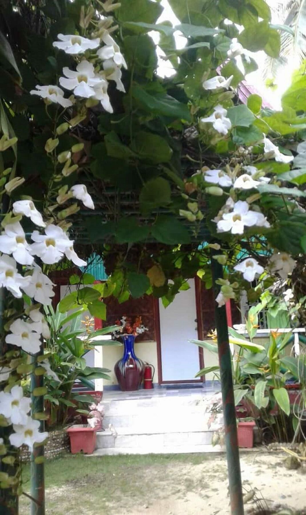 Traville Huts Palm Beach Inn Panglao Dış mekan fotoğraf