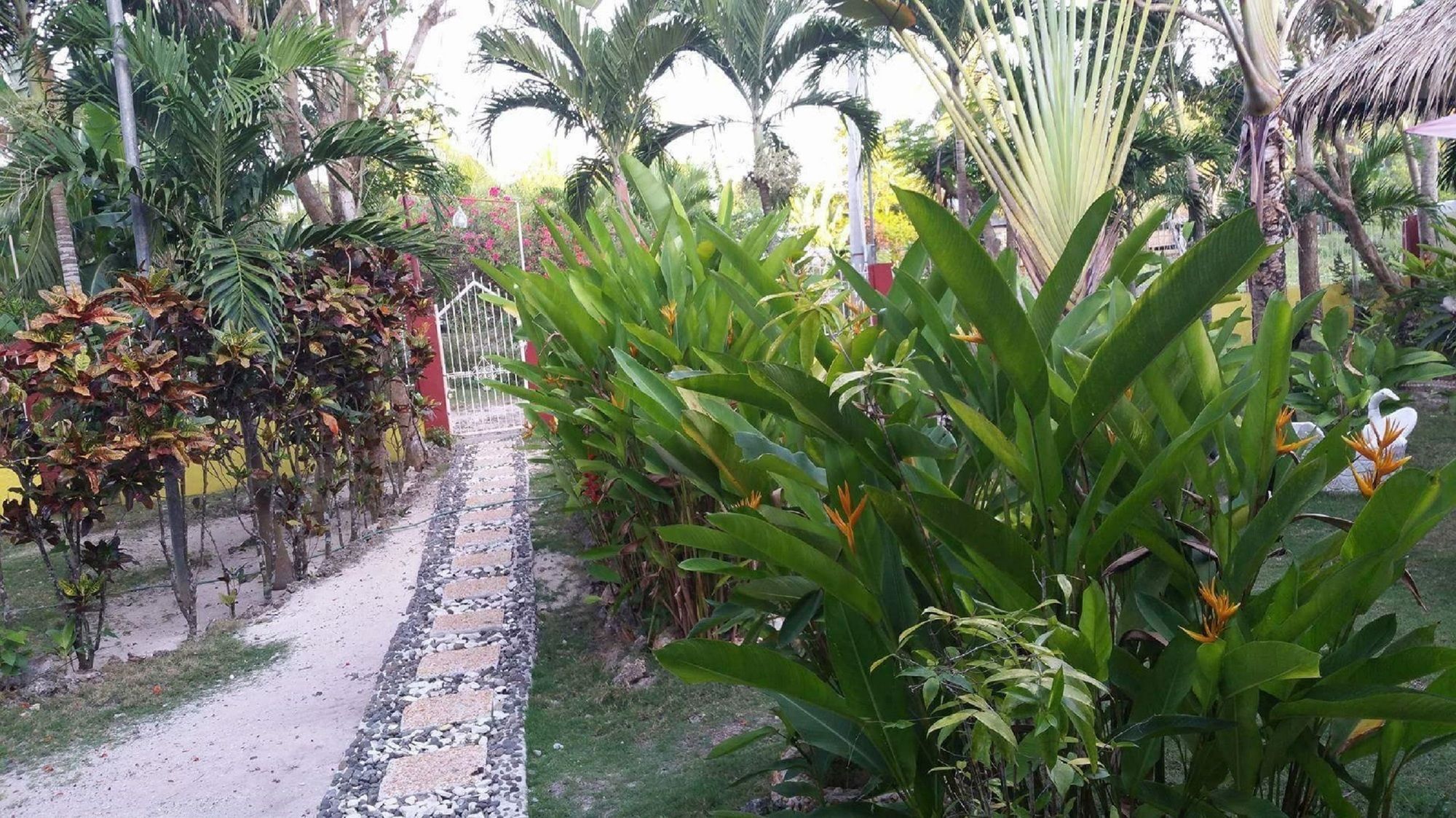 Traville Huts Palm Beach Inn Panglao Dış mekan fotoğraf