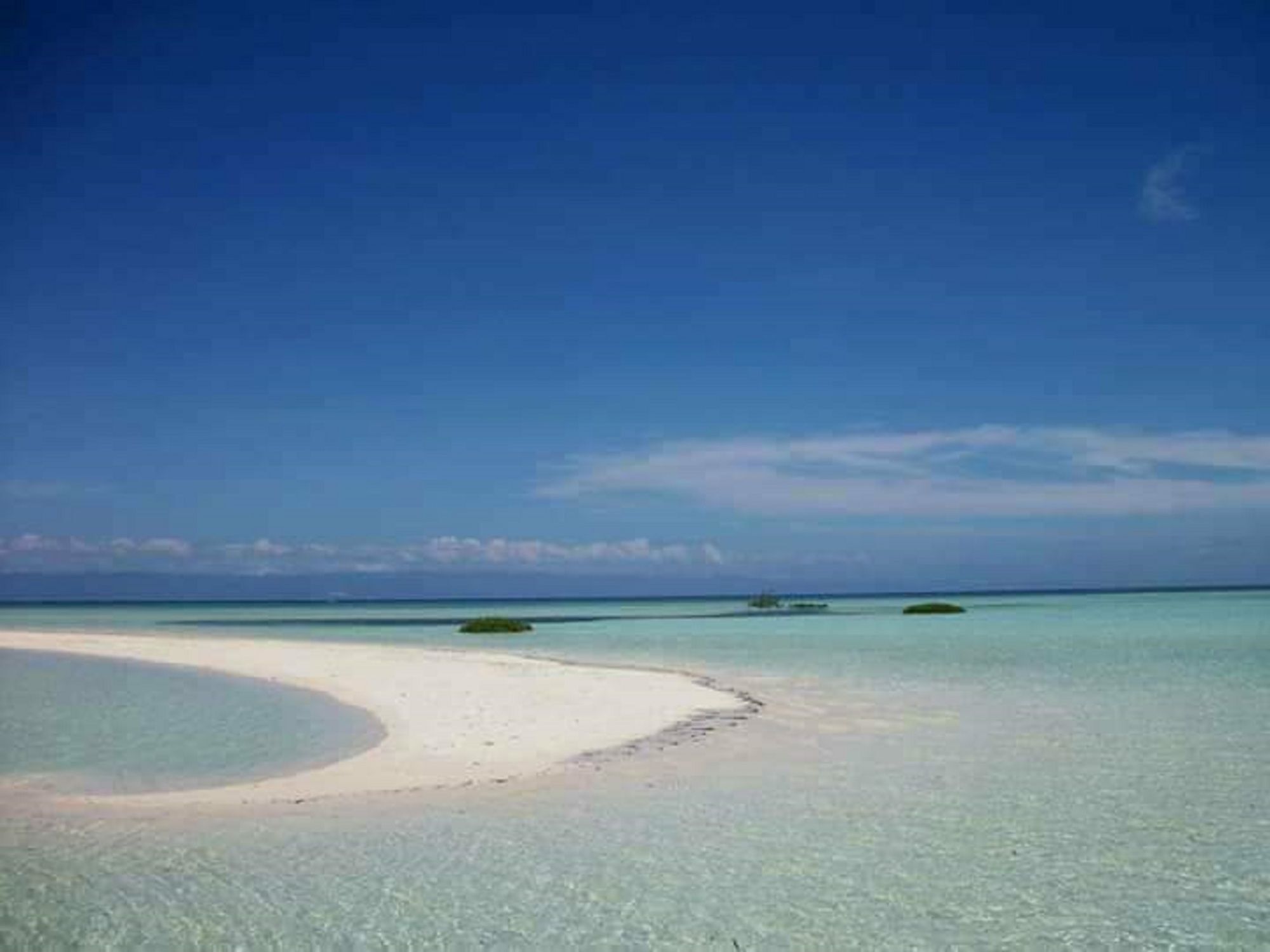 Traville Huts Palm Beach Inn Panglao Dış mekan fotoğraf