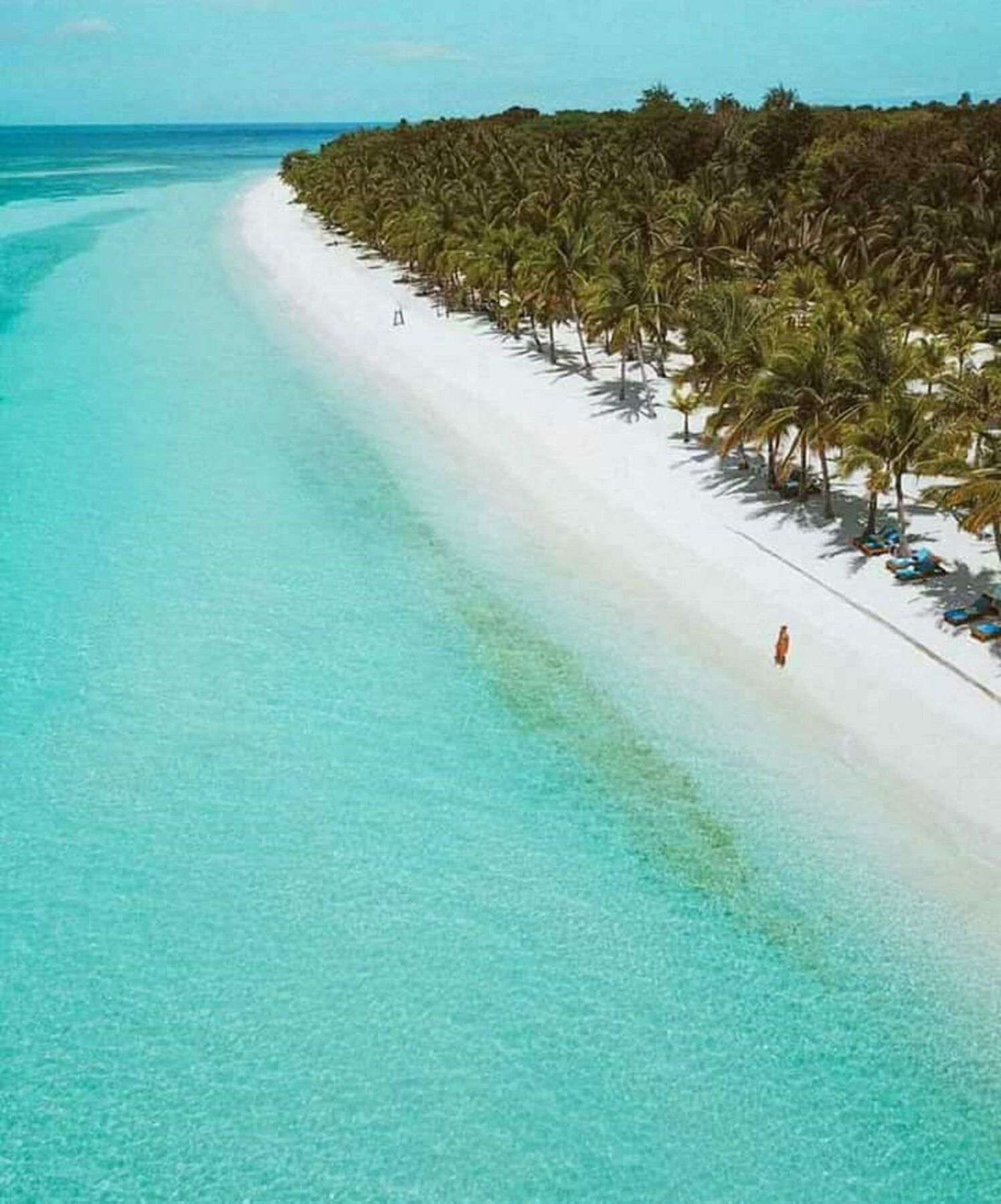 Traville Huts Palm Beach Inn Panglao Dış mekan fotoğraf